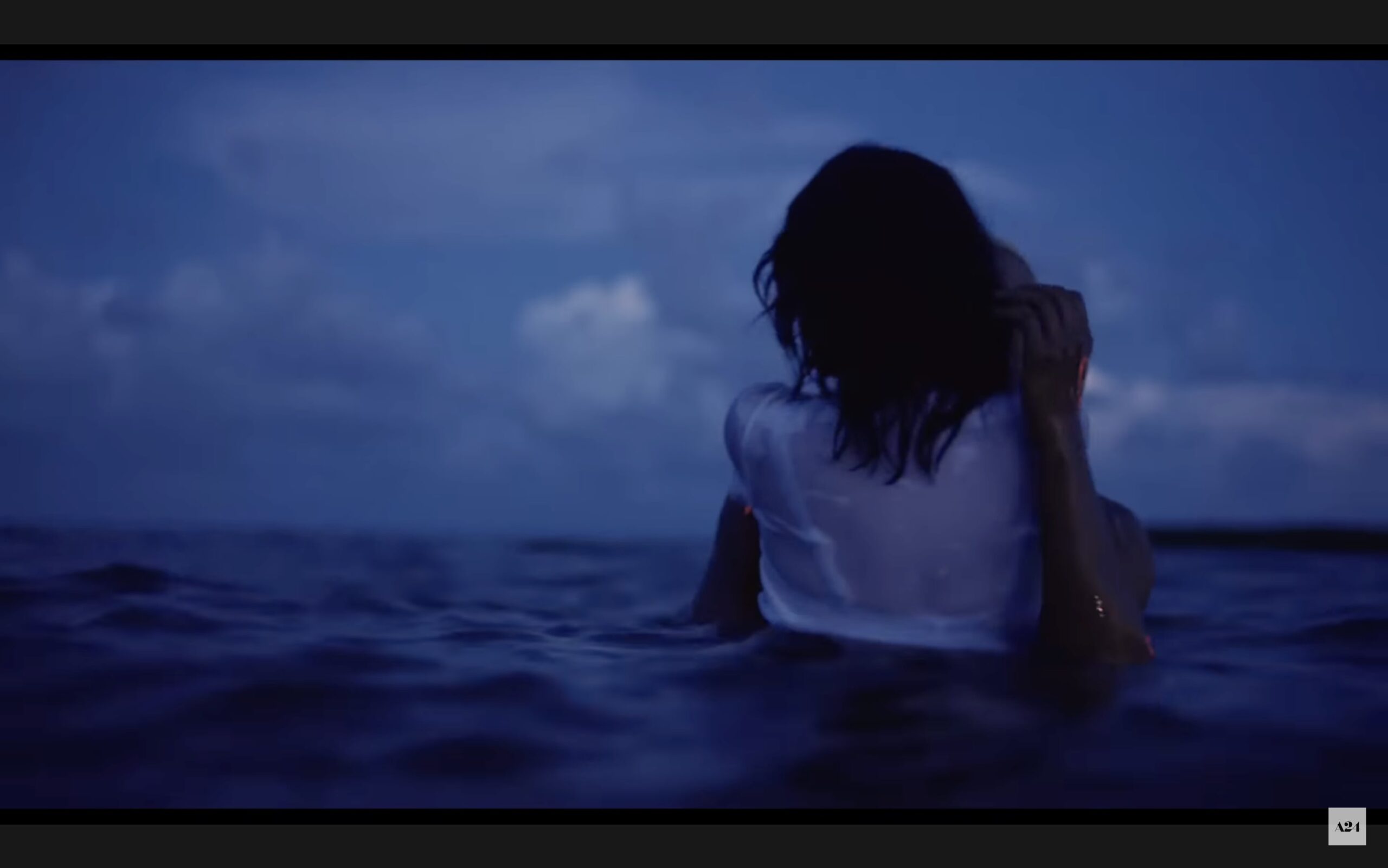 11 Excellent A24 Movies You May Not Know